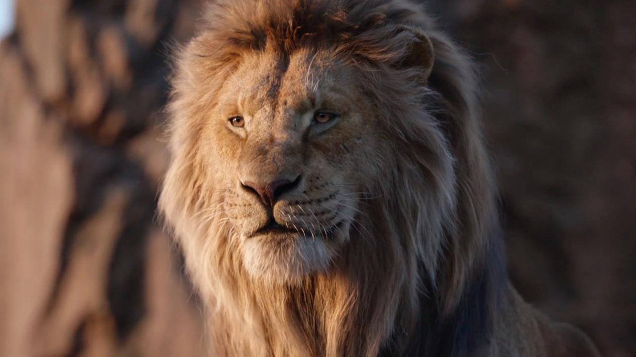 Mufasa Cast: What 'The Lion King' Prequel Actors Really Look Like