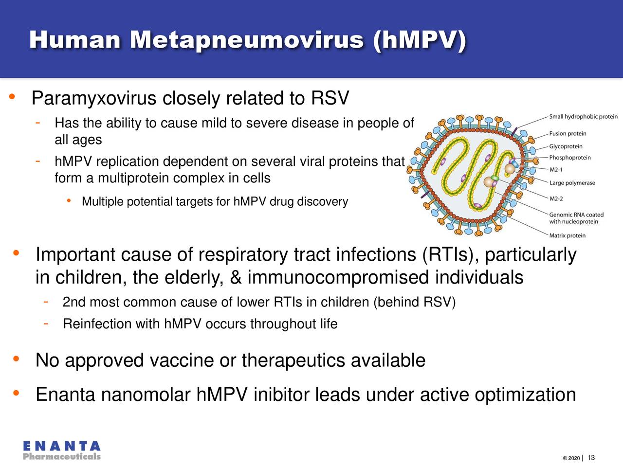 Viral disease HMPV is on the rise among kids in China — what is it?