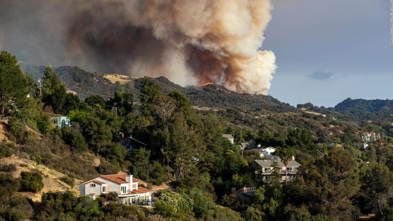 Palisades Fire | Los Angeles Fire Department