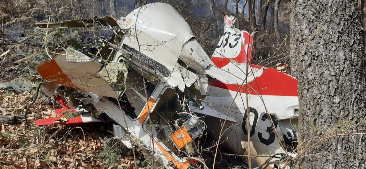 South korea plane crash news