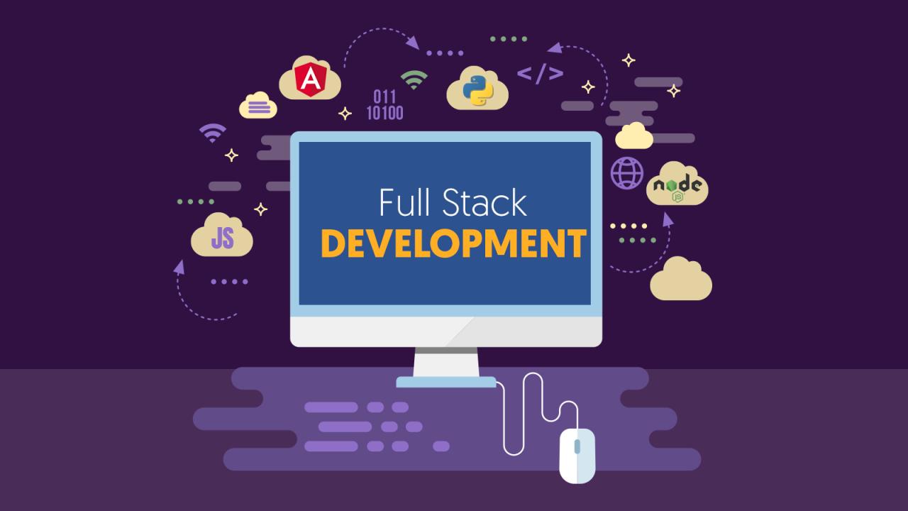 Full stack developer