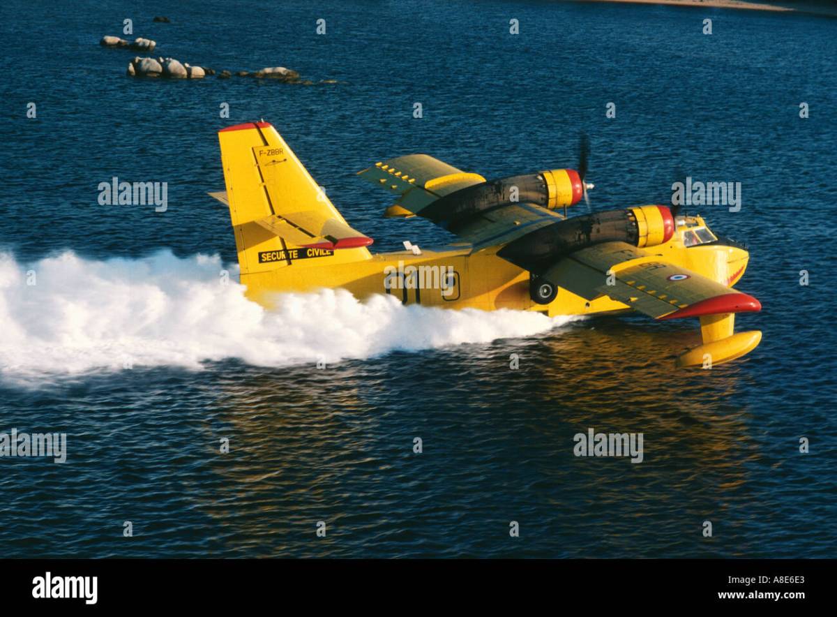 Water aircraft scooping beaver