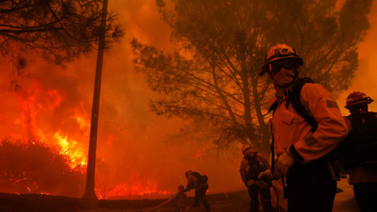 Hollywood actor rushes to help fire first responders evacuate