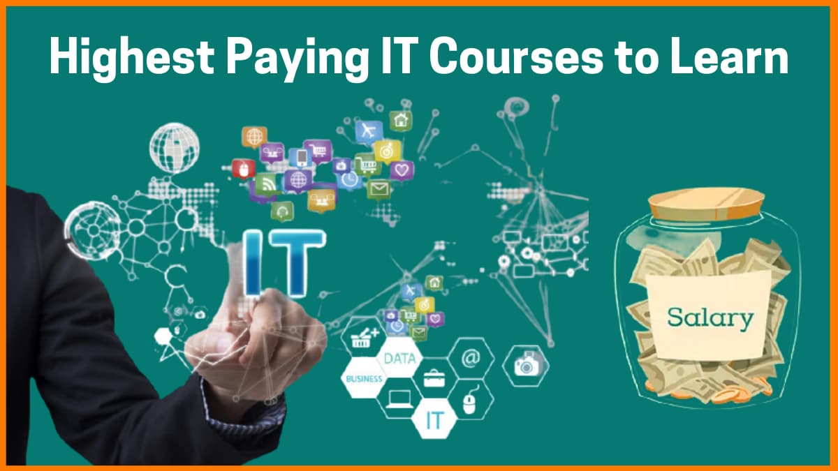 Top-rated IT courses for beginners with career guidance