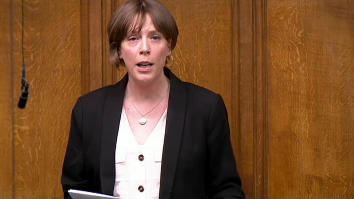 Elon Musk's abuse of Jess Phillips has pushed real victims into