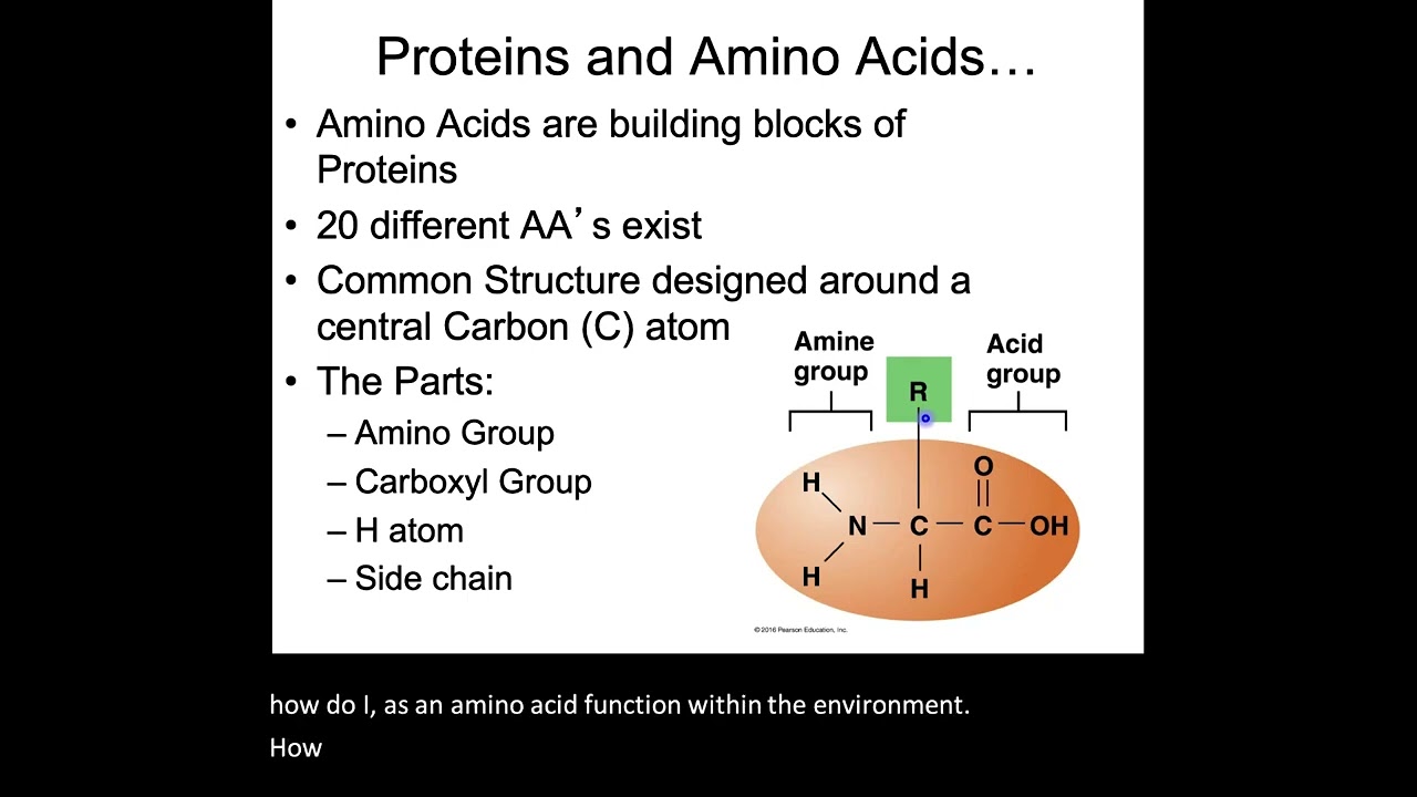 Biochemist names three ingredients everyone should add to pasta