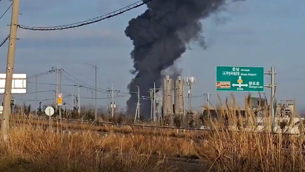 South korea plane crash