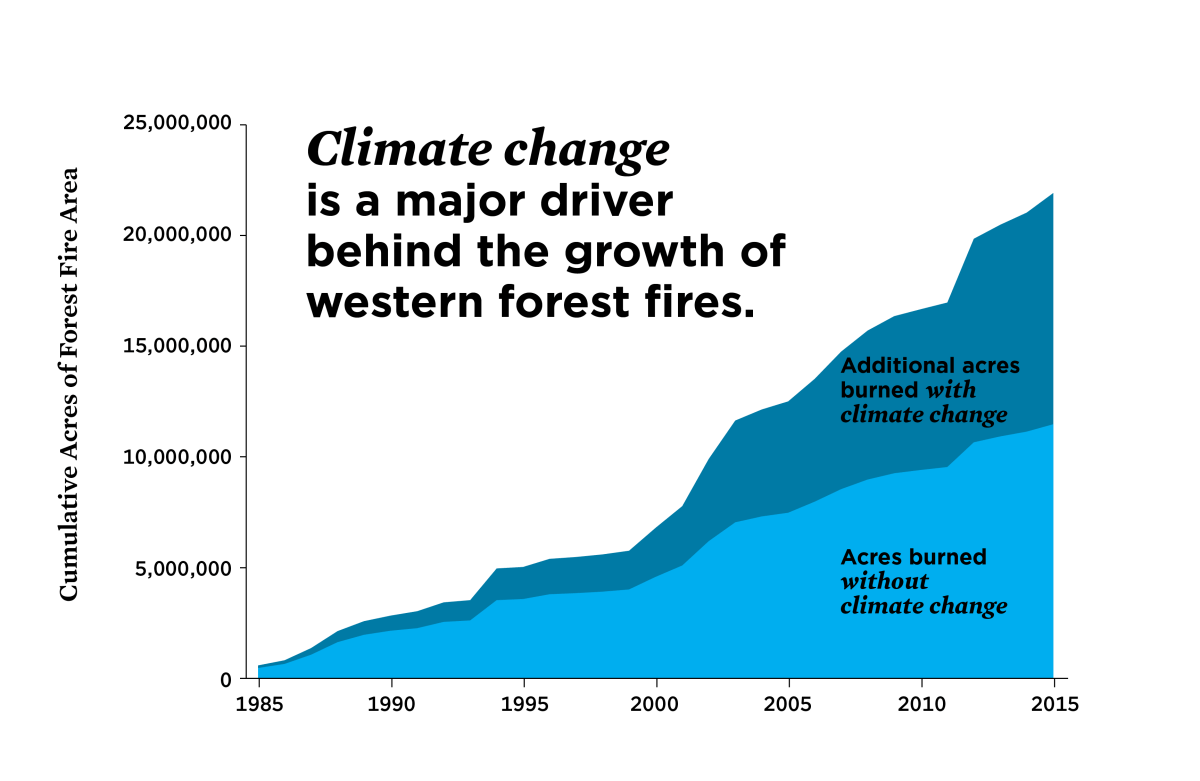 Wildfire wildfires california consequences scientists concerned forests increased numbers anthropogenic williams burned